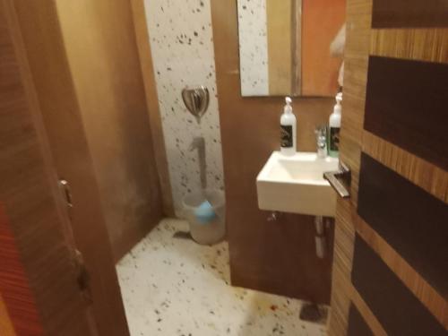 a bathroom with a sink and a toilet and a mirror at Hotel The Apex,Jaipur in Jaipur