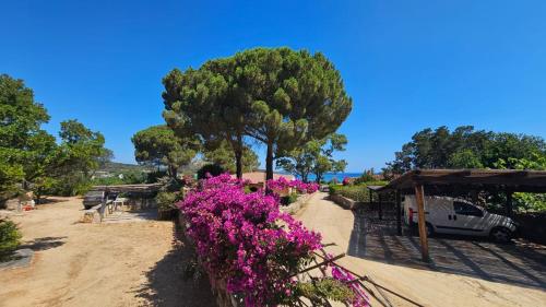 Fotografie z fotogalerie ubytování Mirto v destinaci Porto Taverna
