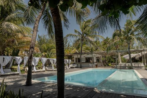Bazén v ubytování Zebra Boutique Hotel nebo v jeho okolí
