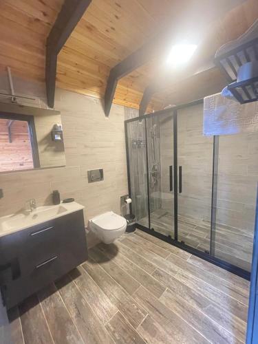 a bathroom with a shower and a toilet and a sink at zevgar bungalov hotel in Ayvacık