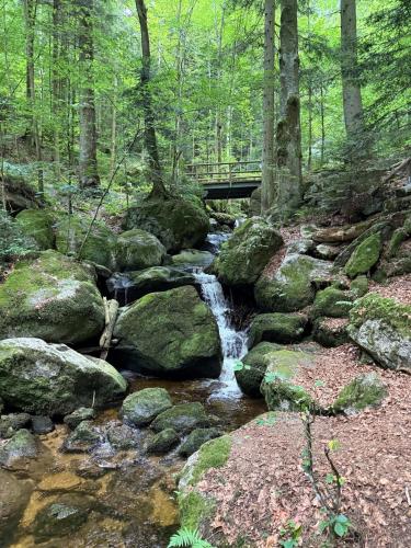 Ferienwohnung Ysperklamm