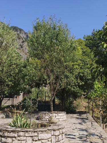 a stone path with a tree in a garden at House by the River in Konitsa