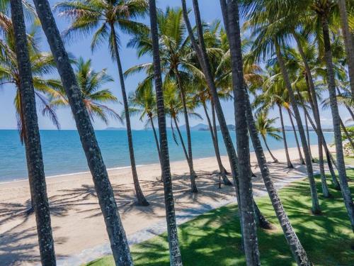 a group of palm trees on a beach at Entire 4 bedroom home in Palm Cove in Palm Cove