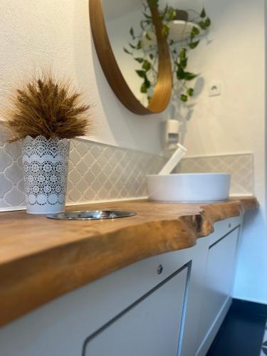 a counter top with a vase with a plant on it at Bonair Tipi Village I Glamping in Călăţele
