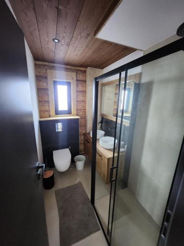 a bathroom with a toilet and a sink at MoNa chalet in Pavčina Lehota