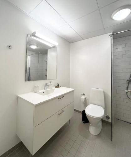 a bathroom with a toilet and a sink and a mirror at Central lejlighed i Nuuk in Nuuk