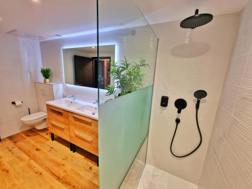 MuntzenheimにあるLOFT & SPA-6 Pers-Jacuzzi-Parking-Jardin-Clim-Colmarの洗面台とシャワー付きのバスルーム