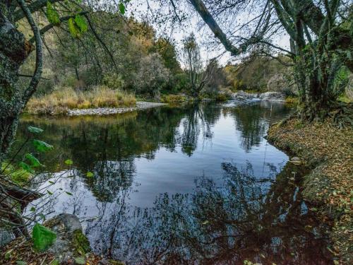 a river in a forest with trees and water at Apartment in La Omañuela in La Omañuela