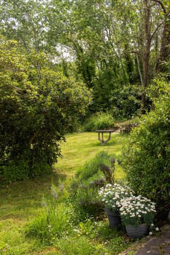 a garden with two pots of flowers in the grass at Apartment with view and garden - Quercia in Ghizzano