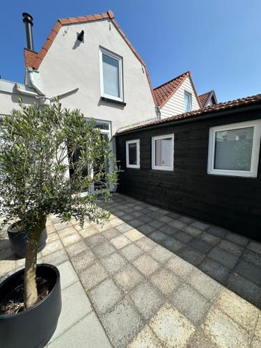 a potted tree in front of a house at Strandhuis 77 in Breskens