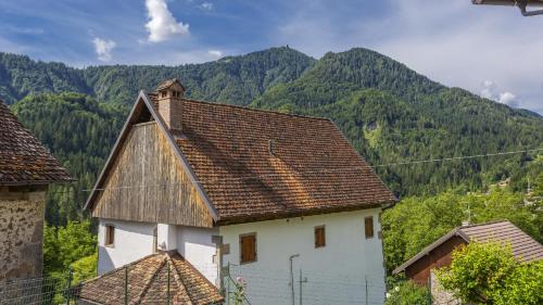 a white house with a mountain in the background at Albergo Diffuso Ravascletto in Ravascletto