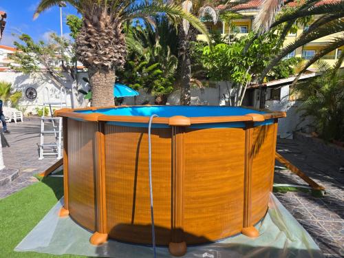 un jacuzzi en un parque con palmeras en Amazing Garden Villa with private pool, en Puerto de Santiago