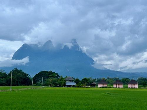 a mountain in the distance with a field and houses at Baan Porhdoi Goidao in Chiang Dao