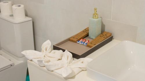 a bathroom with a toilet and a box of toilet paper at Whale Shark Boutique in Fenfushi