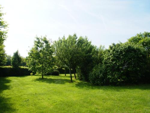 two trees in a field of green grass at Holiday Home in Diges with Garden & Cycling in Sauilly