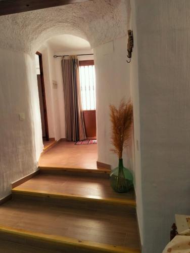 a hallway with a wooden floor and a vase with a plant at Casa-cueva 'MI ABUELA L O L A' in Orce