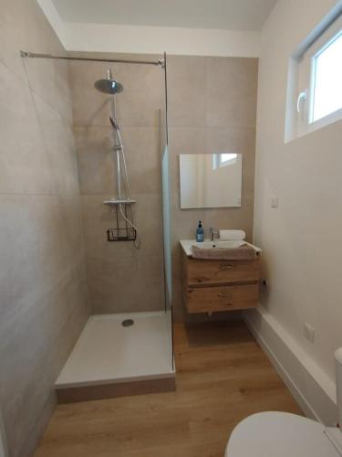 a bathroom with a shower with a sink and a toilet at Appart 2 lits tv Wifi Parking Jardin in Montélimar