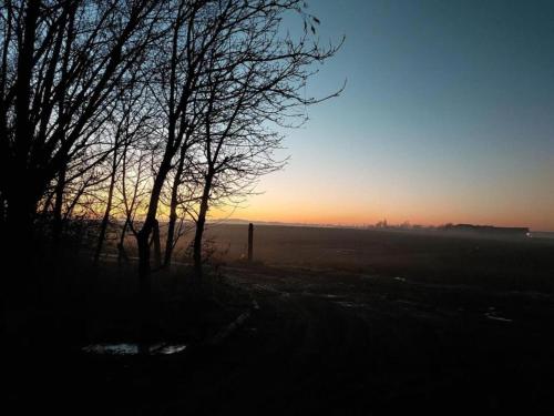 a silhouette of trees in a field at sunset at Holiday Home in Hollebeke with Private Garden in Zandvoorde