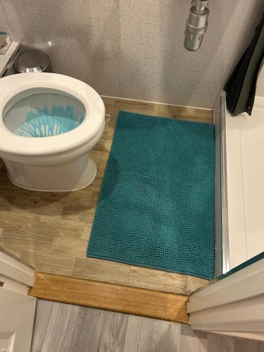 a bathroom with a toilet and a green mat at Somewhere Nice & Cozy in Little Clacton
