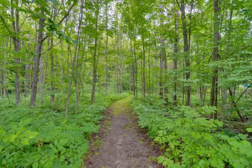 a trail in the woods with trees and plants at Harbor Springs Condo about 6 Mi to Lake Michigan! in Harbor Springs