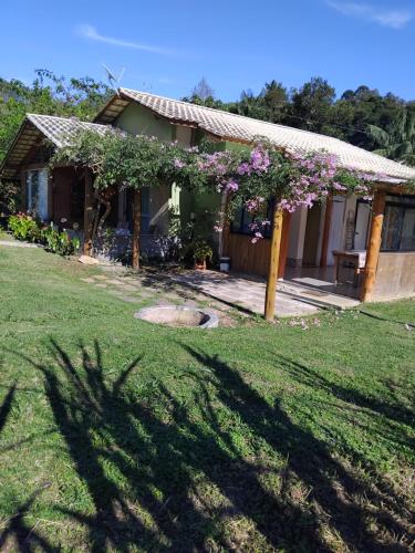 a house with a tree with purple flowers on it at Spaço Terra hospedagem in Domingos Martins