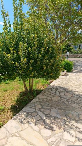 Κήπος έξω από το Apartments Vesna