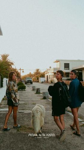 Επισκέπτες που μένουν στο Piedra Alta Hostel & Suites