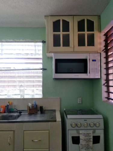 a kitchen with a sink and a microwave at Tropical Apartment with private patio, Walk to Beaches, Shops and Cafes in Saint Peter