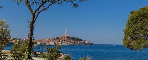 Mediterra Garden photo 2