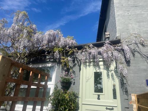 a house with purple wisteria hanging over the front door at Charming countryside cottage in Bekesbourne