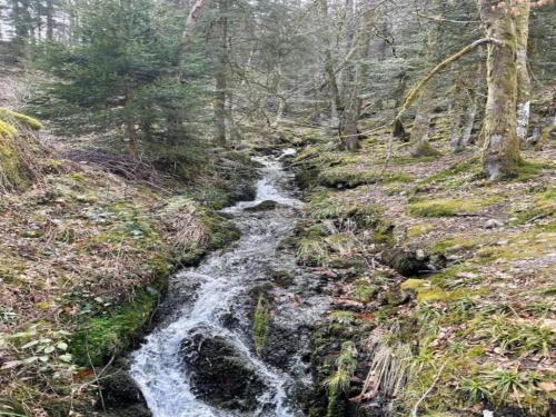 Příroda nedaleko apartmánu