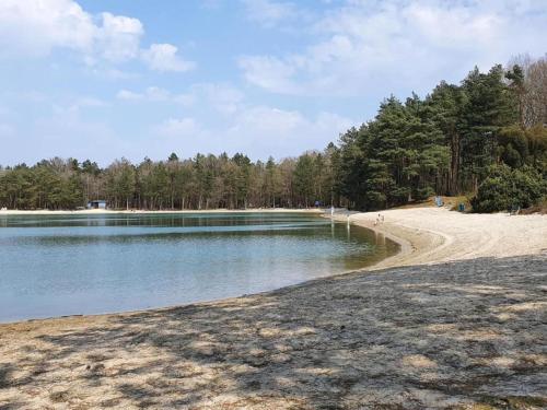 a sandy beach next to a lake with trees at Holiday Home Mantinge near Nature Reserve in Mantinge