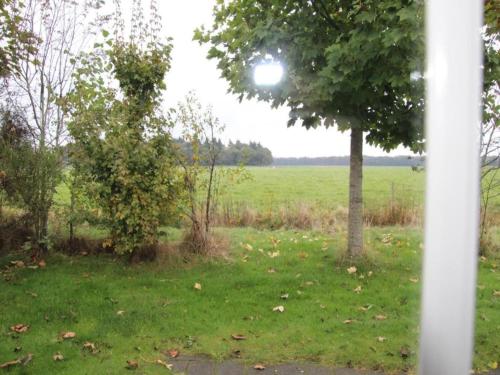 a view from a window of a field with a tree at Holiday Home Mantinge near Nature Reserve in Mantinge
