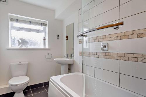 a white bathroom with a toilet and a sink at Nyth yr Wylan in Aberdyfi