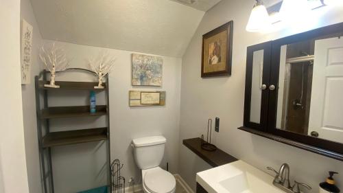 a bathroom with a toilet and a sink and a mirror at Your Private 1-Bedroom Guest House in College Park in College Park