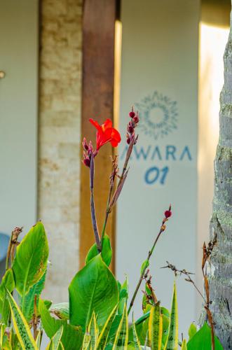 a red flower in front of a building at AWARA POUSADA BOUTIQUE in São Miguel do Gostoso