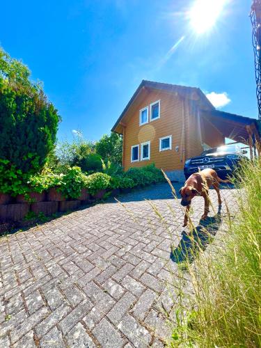 a dog standing on a brick driveway in front of a house at Landhaus AUSZEIT in Borod