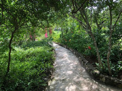 a path through a garden with trees and flowers at Ki-Ra Holistic Living in Boca de Chavón