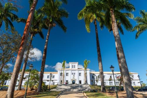 a plantation with palm trees in front of it at Vila Galé Collection Ouro Preto in Ouro Preto