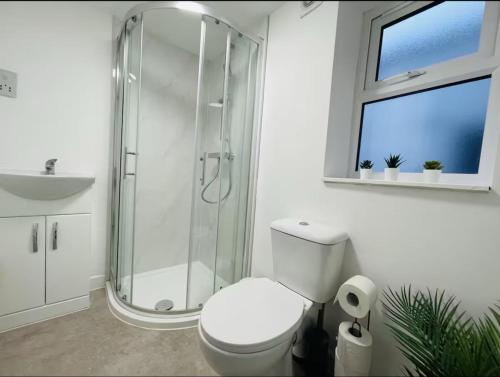 a bathroom with a shower and a toilet and a sink at Cozy 1-Bed Apartment London in Watford