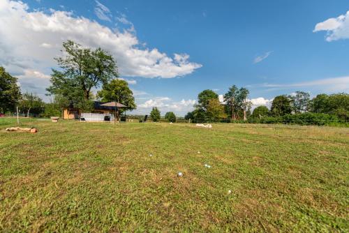 a field with some animals laying in the grass at Forest Paradise in Ličko Petrovo Selo