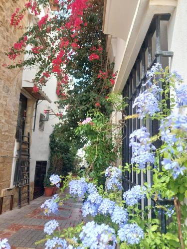 Mare Apartments Marbella photo 126