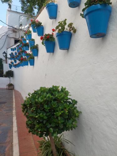 Mare Apartments Marbella photo 115