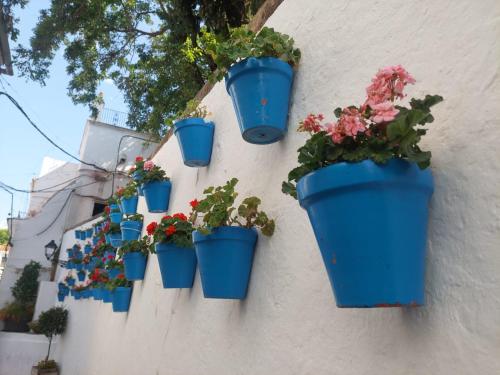 Mare Apartments Marbella photo 117
