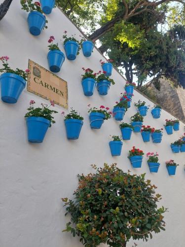 Mare Apartments Marbella photo 122