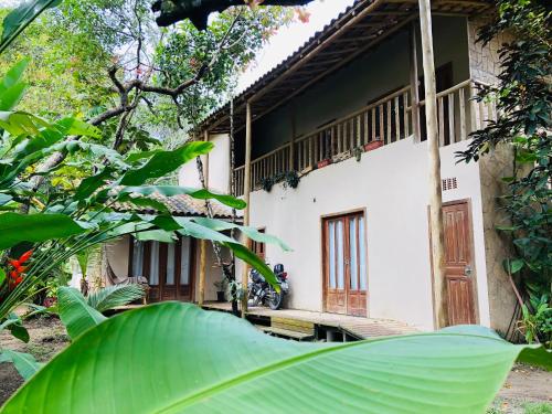 a large green leaf in front of a building at CASA MEDNA in Trancoso