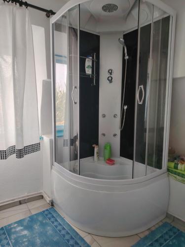 a bathroom with a shower with a glass enclosure at Căsuța de chirpici in Dunăvăţul-de-Sus