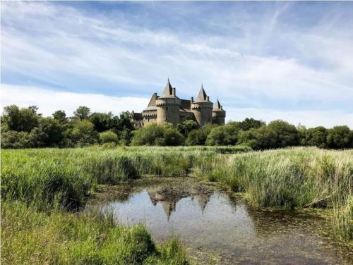 a castle in a field with a pond in front of it at Jolie Maison Golfe du Morbihan in Saint-Armel