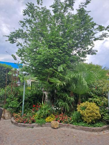 a tree in a garden with flowers and plants at Florivana Boutique Hotel in San Pietro in Cariano