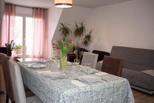 Superbe duplex 10mn de Strasbourg, 9 voyageurs, balcon, garage